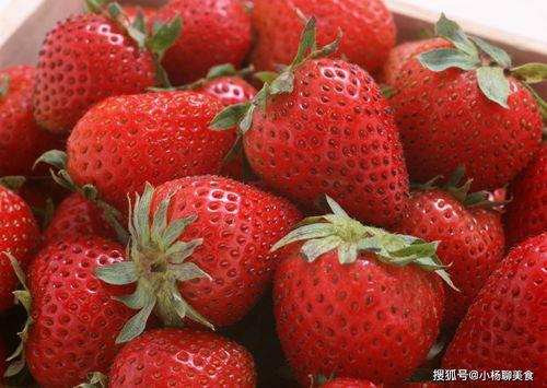 草莓农药爆料视频大全,视频大全深度剖析 第3张 草莓农药爆料视频大全,视频大全深度剖析 第3张